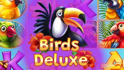 birds deluxe inbet1